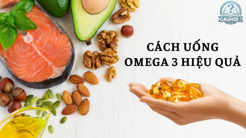Cách uống Omega 3 hiệu quả Cách uống Omega 3 hiệu quả