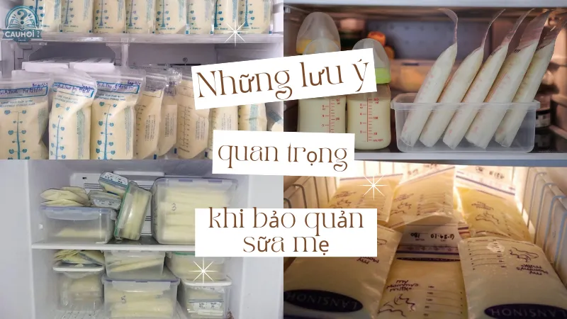 Những lưu ý quan trọng khi bảo quản sữa mẹ Những lưu ý quan trọng khi bảo quản sữa mẹ