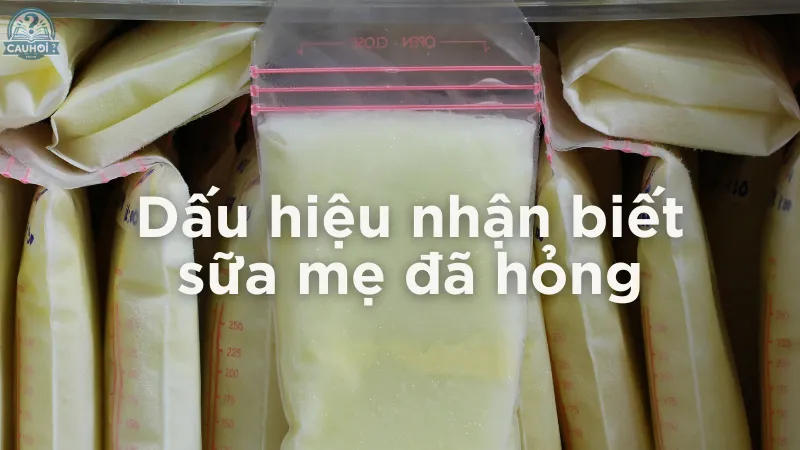 Dấu hiệu nhận biết sữa mẹ đã hỏng Dấu hiệu nhận biết sữa mẹ đã hỏng