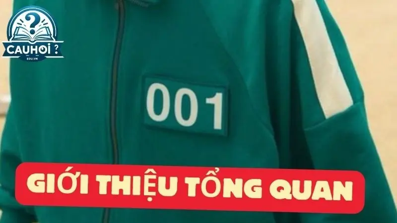 Giới thiệu tổng quan Giới thiệu tổng quan