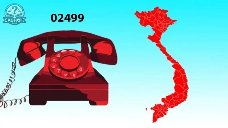 Phân tích đầu số 02499