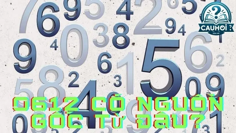 0612 có nguồn gốc từ đâu? 0612 có nguồn gốc từ đâu?