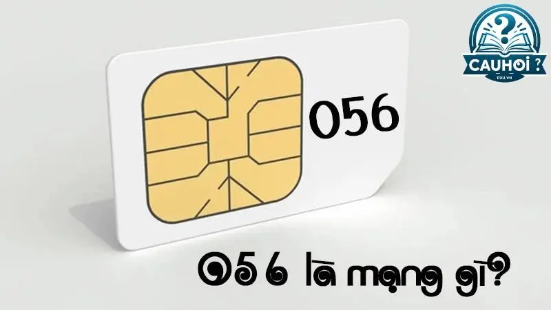 Sim đuôi 0563 có ý nghĩa gì? Sim đuôi 0563 có ý nghĩa gì?
