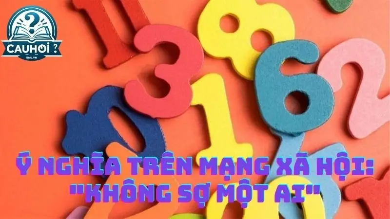Ý nghĩa trên mạng xã hội: "Không sợ một ai" Ý nghĩa trên mạng xã hội: "Không sợ một ai"