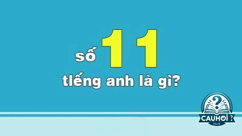 Tìm hiểu thêm về số 11 Tìm hiểu thêm về số 11