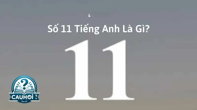 Giới thiệu về số 11 trong tiếng anh Giới thiệu về số 11 trong tiếng anh