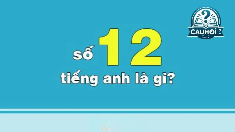 Số 12 tiếng anh là gì Số 12 tiếng anh là gì