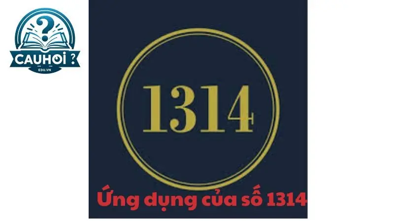 Ứng dụng của số 1314 Ứng dụng của số 1314