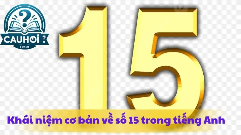 15-trong-tieng-anh-la-gi-1 15-trong-tieng-anh-la-gi-1