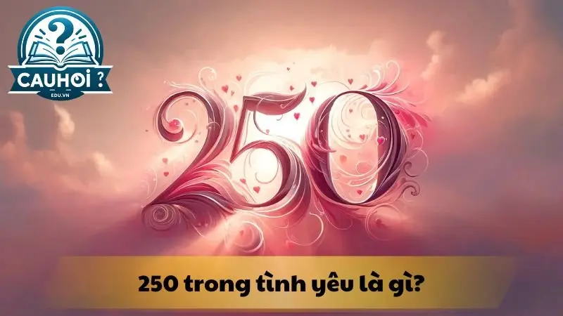 250 trong tình yêu là gì? 250 trong tình yêu là gì?