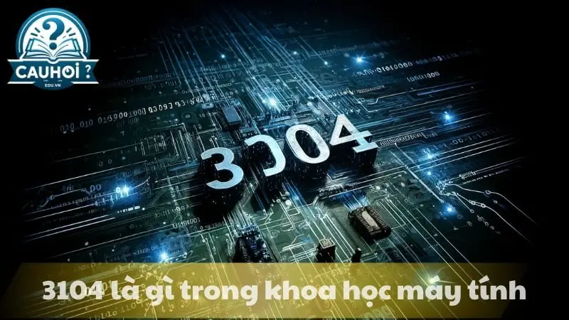 Số 3104 là gì trong khoa học máy tính Số 3104 là gì trong khoa học máy tính