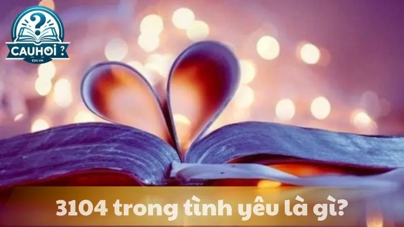Số 3104 là gì trong tình yêu? Số 3104 là gì trong tình yêu?