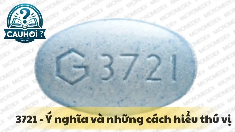 Số 3721 - Ý nghĩa và những cách hiểu thú vị Số 3721 - Ý nghĩa và những cách hiểu thú vị