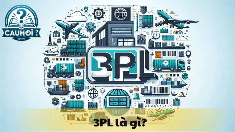 3PL là gì? 3PL là gì?
