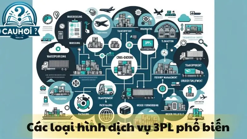 Các loại hình dịch vụ 3PL phổ biến Các loại hình dịch vụ 3PL phổ biến