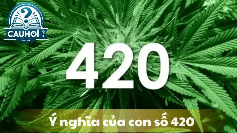 Ý nghĩa của con số 420 Ý nghĩa của con số 420