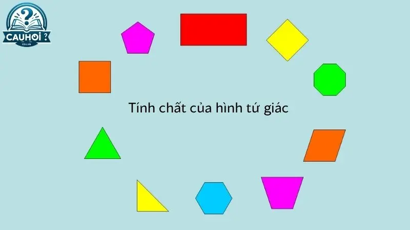 Tính chất của hình tứ giác Tính chất của hình tứ giác