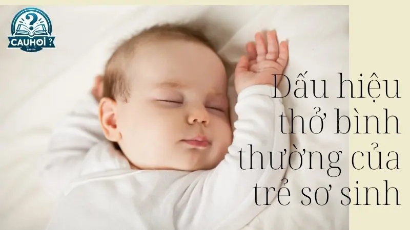 Dấu hiệu thở bình thường của trẻ sơ sinh Dấu hiệu thở bình thường của trẻ sơ sinh