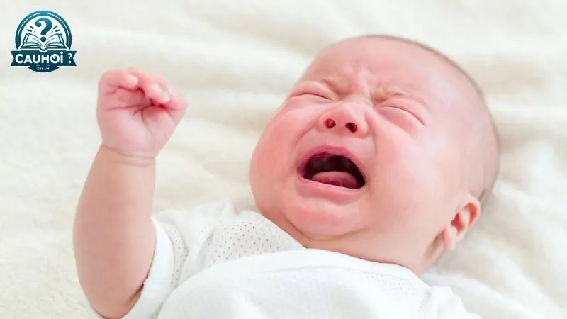 Khi nào cần đưa trẻ sơ sinh đi khám bác sĩ về vấn đề hô hấp? Khi nào cần đưa trẻ sơ sinh đi khám bác sĩ về vấn đề hô hấp?