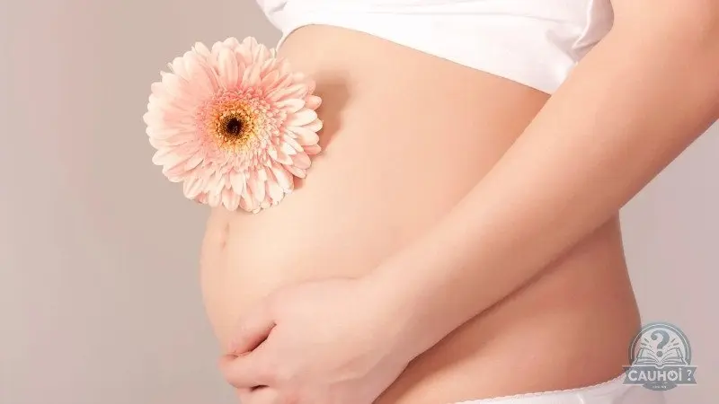 Giải pháp khi thai 7 tuần chưa có phôi
