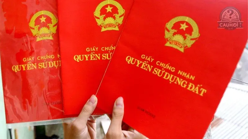 Công chứng giấy tờ là gì? Và tầm quan trọng của nó