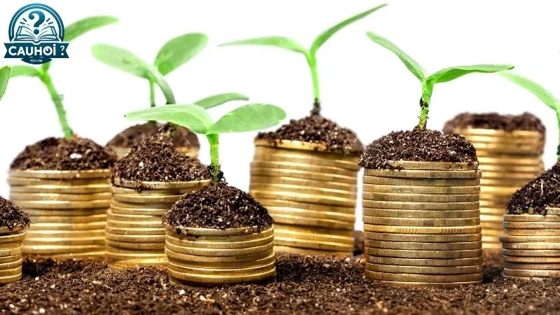 Chiến lược đầu tư vàng hiệu quả Chiến lược đầu tư vàng hiệu quả