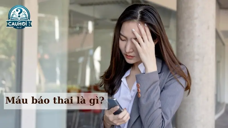 Máu báo thai là gì? Máu báo thai là gì?