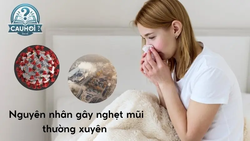 nguyên nhân gây nghẹt mũi 