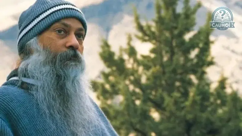 Di sản của Osho Di sản của Osho