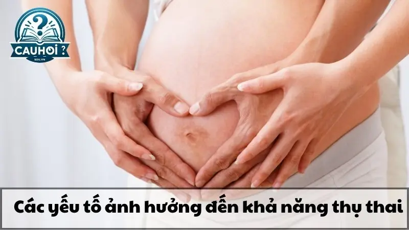 Các yếu tố ảnh hưởng đến khả năng thụ thai Các yếu tố ảnh hưởng đến khả năng thụ thai