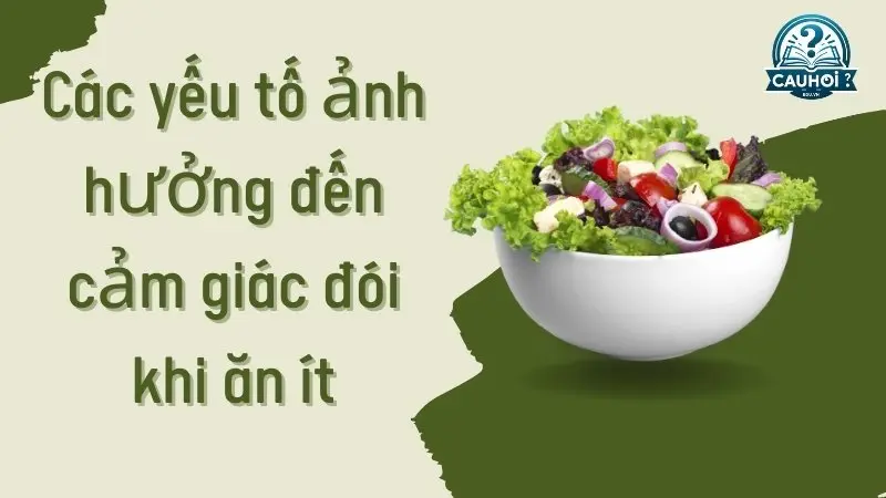 Các yếu tố ảnh hưởng đến cảm giác đói khi ăn ít 