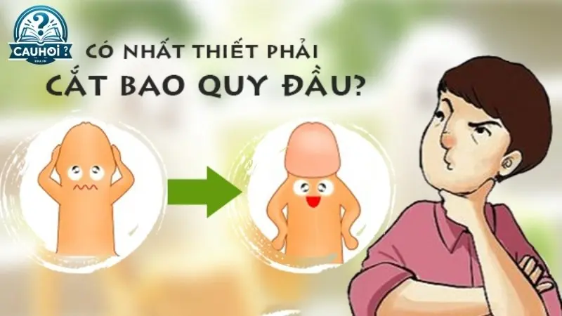 Lý do chính yếu để cắt bao quy đầu