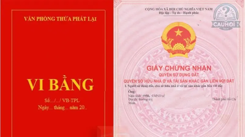 Vai trò của vi bằng Vai trò của vi bằng