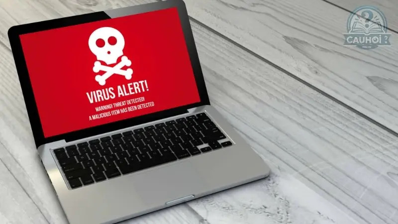 Cách thức lây nhiễm virus Cách thức lây nhiễm virus