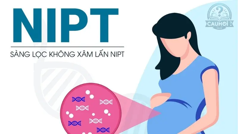 Lợi ích của xét nghiệm NIPT Lợi ích của xét nghiệm NIPT
