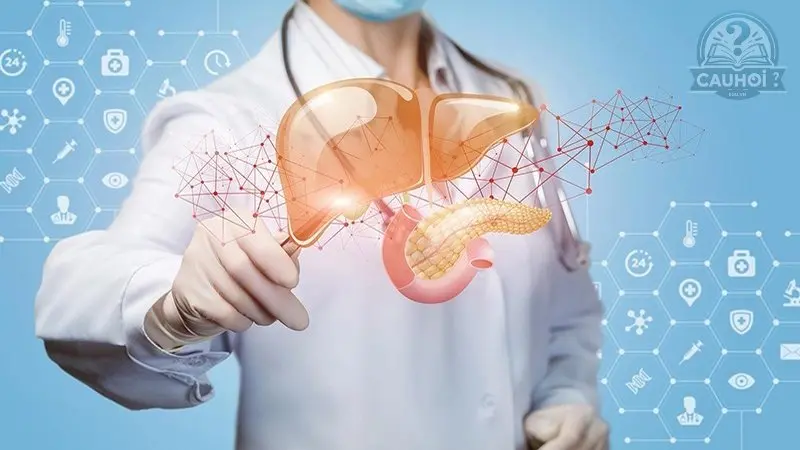 Cách điều trị bệnh xơ Gan Cách điều trị bệnh xơ Gan