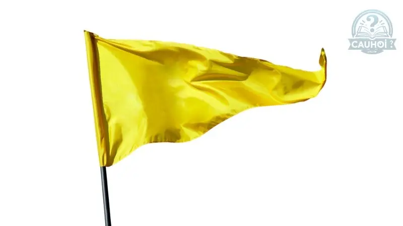 Khái niệm về Yellow Flag Khái niệm về Yellow Flag