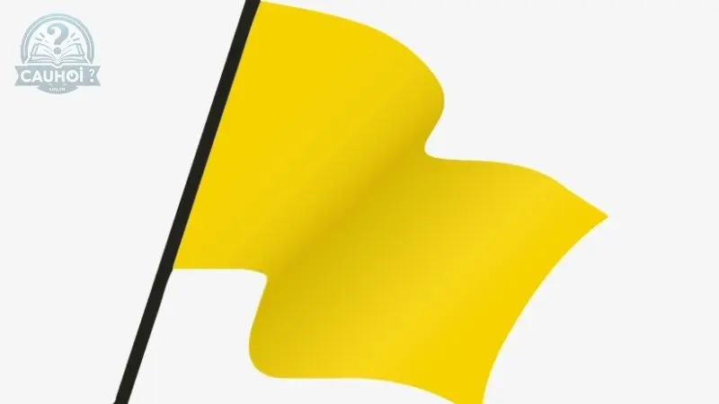 Các đặc điểm của Yellow Flag Các đặc điểm của Yellow Flag