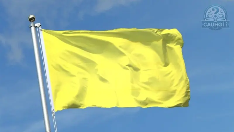 Ứng dụng của Yellow Flag Ứng dụng của Yellow Flag