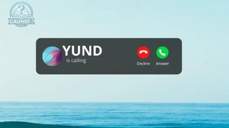 YUND là gì? YUND là gì?