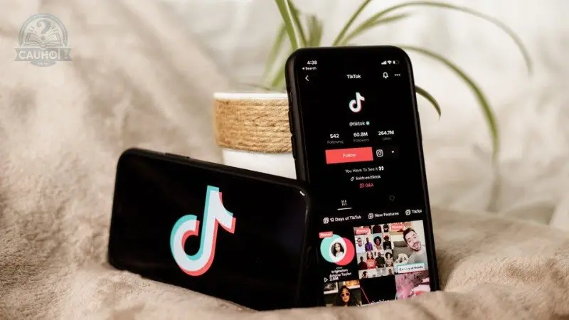 Sử dụng công cụ và tính năng TikTok Sử dụng công cụ và tính năng TikTok