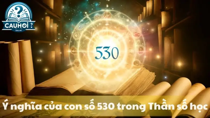 530-la-gi-2