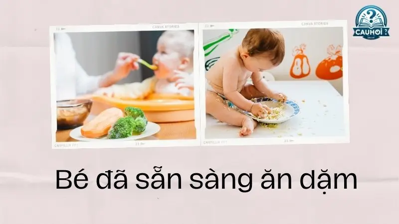 Dấu hiệu nhận biết bé sẵn sàng ăn dặm Dấu hiệu nhận biết bé sẵn sàng ăn dặm