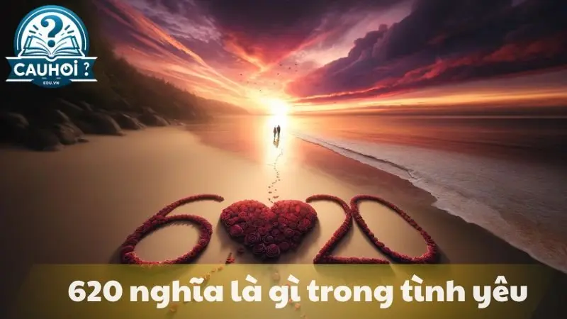 620-nghia-la-gi-2