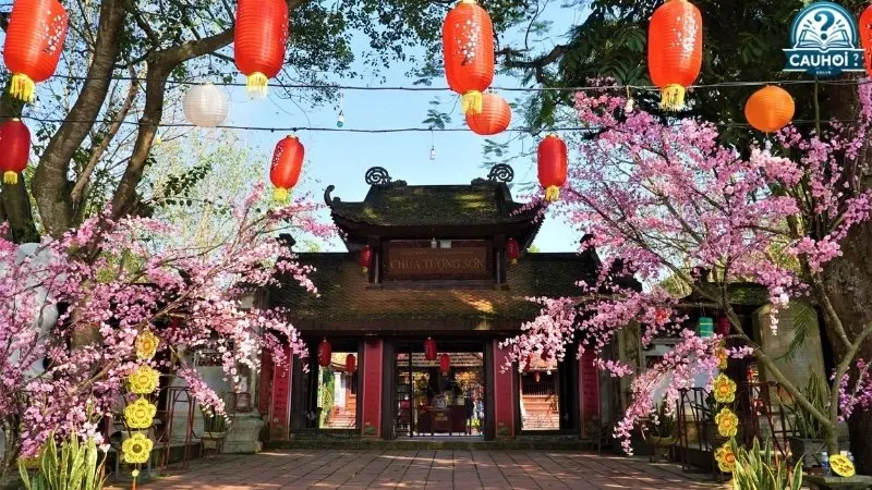 Tôn vinh và ghi nhớ về ông tổ ngành y Tôn vinh và ghi nhớ về ông tổ ngành y