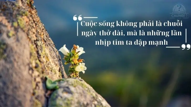 Tổng hợp các câu nói hay về cuộc sống tích cực