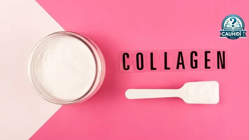 Collagen là gì? Collagen là gì?