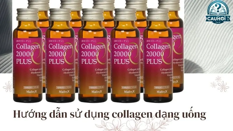 Hướng dẫn sử dụng collagen dạng uống Hướng dẫn sử dụng collagen dạng uống