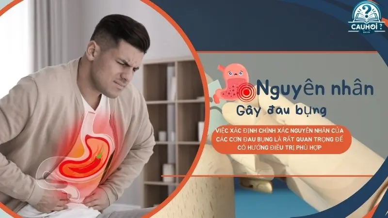 Nguyên nhân phổ biến gây đau bụng Nguyên nhân phổ biến gây đau bụng