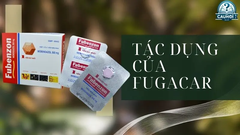 Thành phần và cơ chế tác dụng của Fugacar Thành phần và cơ chế tác dụng của Fugacar